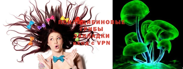 бошки Инта