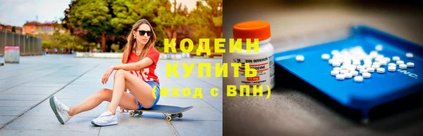 бошки Инта