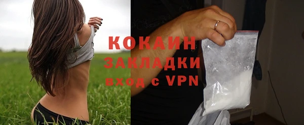 бошки Инта