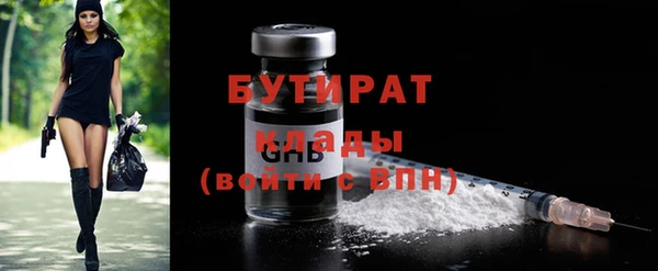 индика Ельня