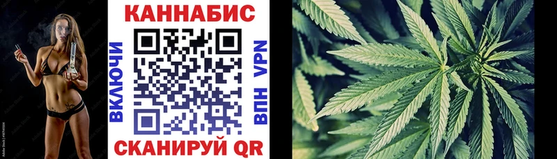 Конопля семена Купить где Славгород